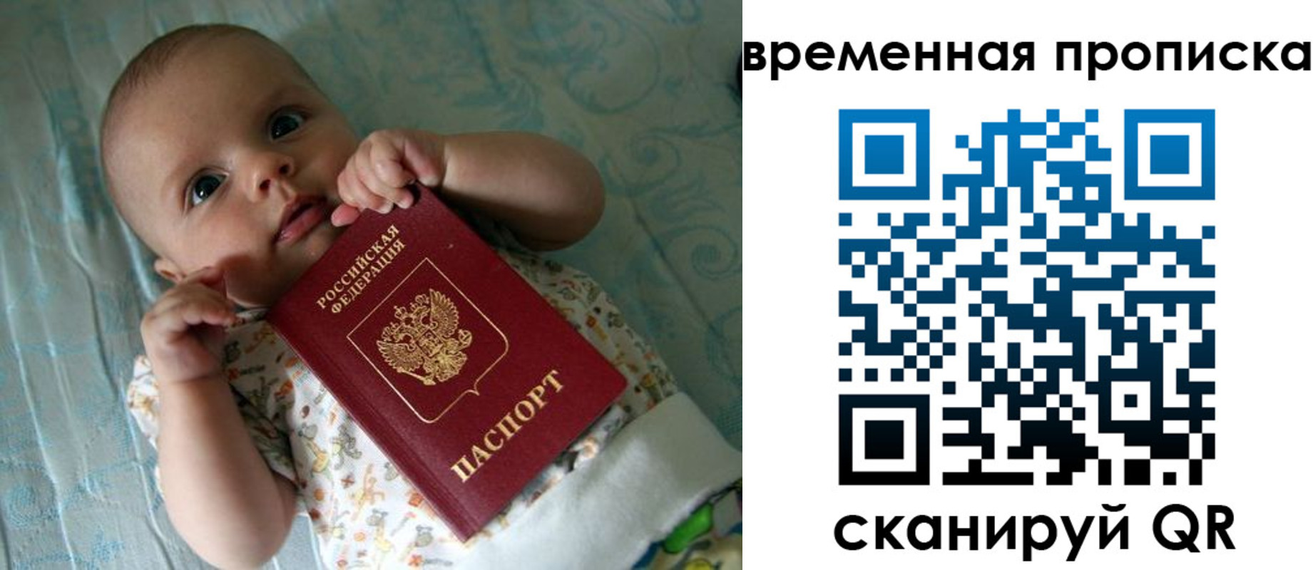 найти адрес прописки в Александровске