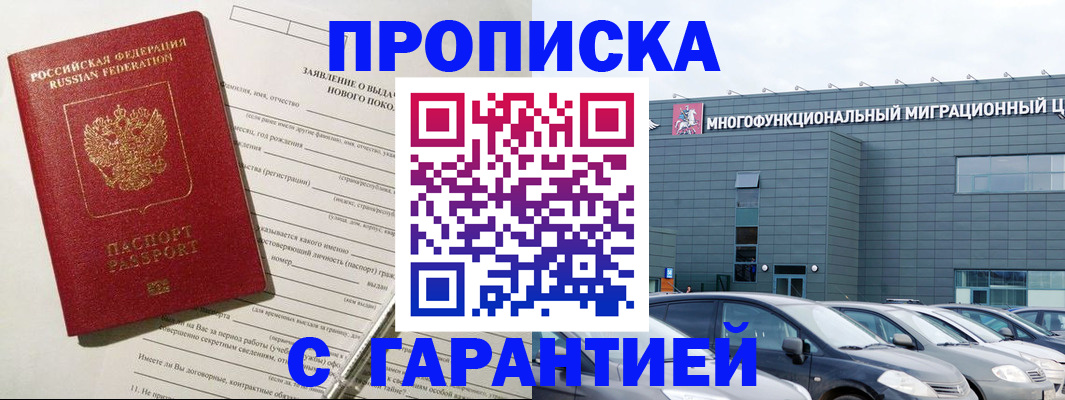 прописка поиск в Александровске